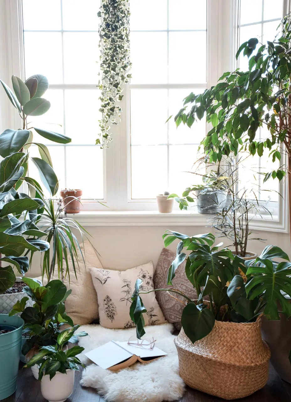 Cozy nook by a window with houseplants and a book